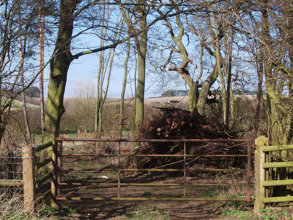 farm-maintenance Farm maintenance at Willow Tree Farming.